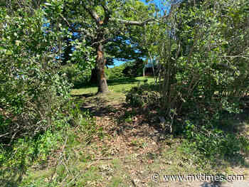 Police identify deceased driver - Martha's Vineyard Times