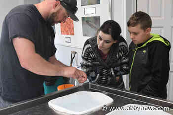 Volunteers clip fins of 12K coho salmon in Abbotsford - Abbotsford News