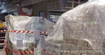 Lago di Garda, il divieto di alcol (e musica) sulle spiagge non piace - Trentino