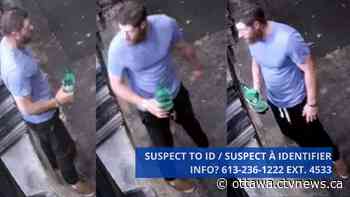 Ottawa police investigating after man forcefully enters home in Sandy Hill - CTV News Ottawa