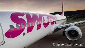 Swoop launches new service from Ottawa to Halifax and Winnipeg - CTV News Ottawa