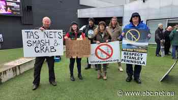 Environment advocates from Tasmania's north-west want seat at energy table