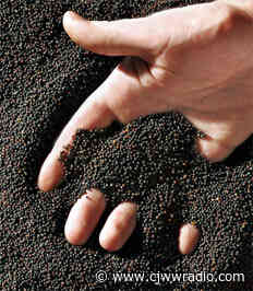 Ottawa makes change to Advance Payments Program - CJWW