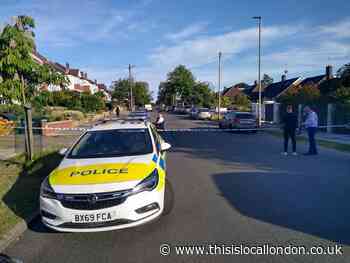 Man released after Barnet mum and son die with stab wounds
