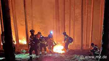 Waldbrand in Beelitz: Wie Feuerwehrleute aus Alsleben, Bernburg und Nienburg Einsatz erlebt haben - Mitteldeutsche Zeitung