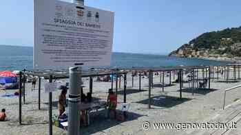 Voltri, torna la Spiaggia dei Bambini con due gazebo in più: nel 2021 registrati 4500 ingressi - GenovaToday
