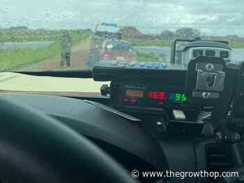 Saskatchewan driver who tested positive for cannabis gets a thousand-dollar fine for speeding - The GrowthOp