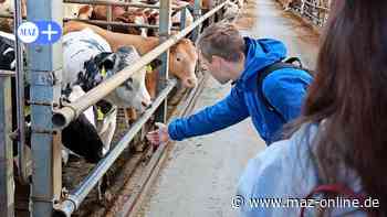 Bad Belzig: Oberschüler besuchen landwirtschaftliche Betriebe - Märkische Allgemeine Zeitung