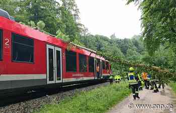 Umgestürzter Baum: Zug fährt in Oberleitung kurz vor Traunstein - Passauer Neue Presse - PNP.de
