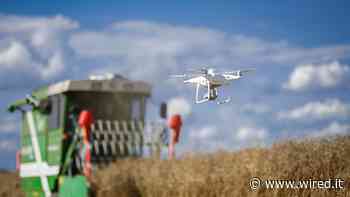 Matera, un giardino dove far fiorire l'agricoltura di precisione - Wired Italia
