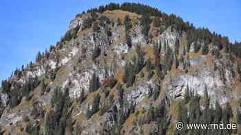 Deutschlands Alpen wachsen mit Wäldern zu - RND