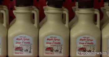 Queen’s University expert says climate change affecting maple syrup production
