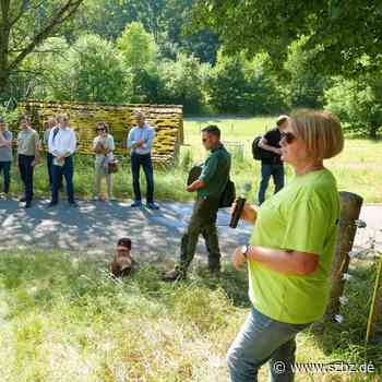 Sindelfingen: „Der Wald wird sich erheblich verändern“ - Sindelfinger Zeitung / Böblinger Zeitung