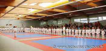 Saint-Valery-en-Caux. Remise des grades et récompenses aux judokas valériquais - Le Courrier Cauchois