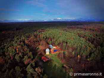 Libri e autori sotto le stelle del Parco Pineta - Prima Saronno