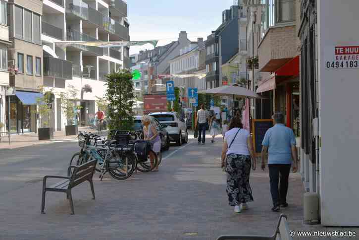 Geen kommer en kwel, maar ook geen Kopenhagen-aan-de-Leie: Deinse handel herpakt zich na pandemie, deelgemeenten hebben het moeilijk