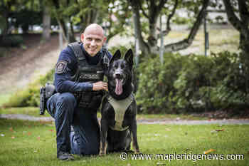 Abbotsford officer charged with assault for 2020 arrest in West Vancouver – Maple Ridge News - Maple Ridge News