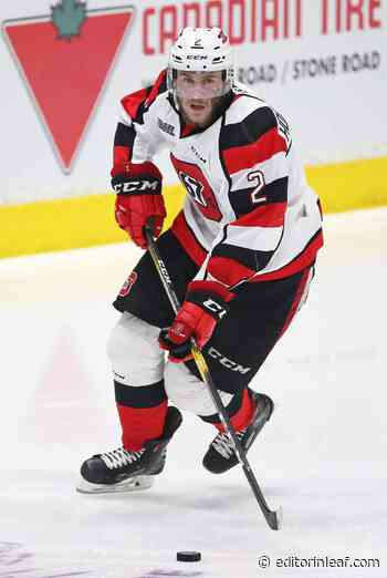 Toronto Maple Leafs: Thoughts on Toronto Marlies Signing Six Players - Editor in Leaf