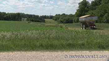 Missing woman found dead in Olmsted County field, death called suspicious