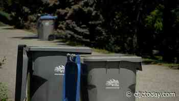 City of Kamloops working with WildsafeBC to remind residents to be bear smart - CFJC Today Kamloops