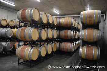 Wine production in Kamloops area set to grow - Kamloops This Week