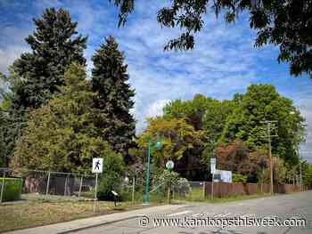 Letter: Upset that trees will be removed - Kamloops This Week