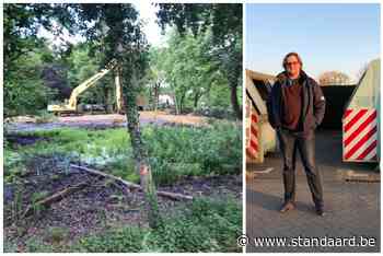 Werken voor natuurherstel stilgelegd door rooien bomen (Leuven,Bierbeek) - De Standaard