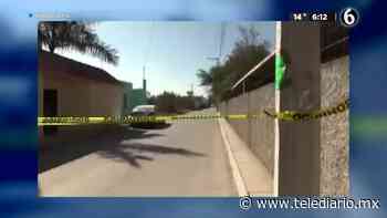 SLP. Enfrentamiento deja cuatro muertos en Cerritos - Telediario CDMX