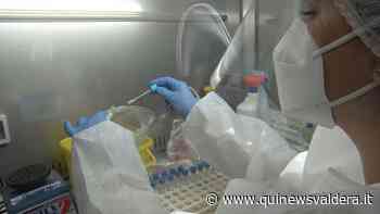 140 nuovi casi Covid nei Comuni della Valdera - Qui News Valdera
