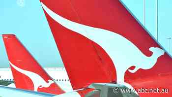 Qantas to cut 15pc of domestic flights, ASX recovers amid 'tremendous' uncertainty