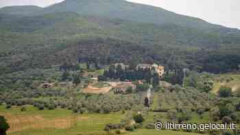 Antinori dedica un vino a Cecina: sarà un rosso, top secret il vitigno - Il Tirreno