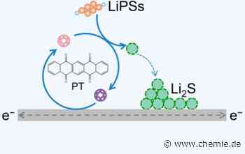 Neue Strategie zur deutlichen Verbesserung der Leistung von Lithium-Schwefel-Batterien