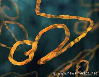 New technology may enable rapid diagnosis of Ebola virus - News-Medical.Net