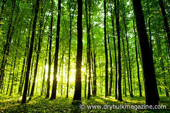 ESL Shipping to utilise Neste’s co-processed marine fuel - Dry Bulk