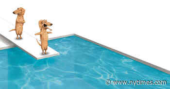 “Two Dogs” by Ian Falconer