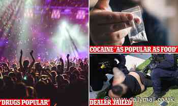 Purchasing cocaine 'as popular as buying food or alcohol', judge says - Daily Mail