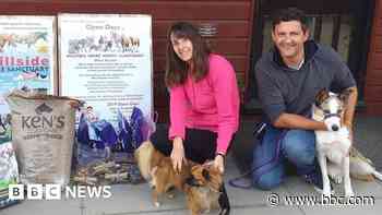 Founder of North Walsham pet food bank appeals for delivery help - BBC