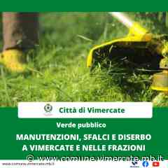 Manutenzioni, sfalci e diserbo a Vimercate e nelle frazioni - Città di Vimercate