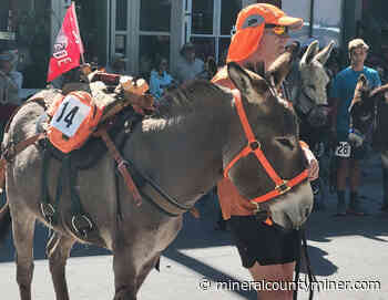 Creede Donkey Dash draws a huge crowd - Mineral County Miner