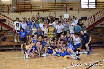 Basket, Under 14: la Pallacanestro Alassio è campione regionale, percorso netto per i gialloblu - SvSport.it