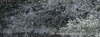 Austin moves to prepare for climate disasters - Austin Monitor