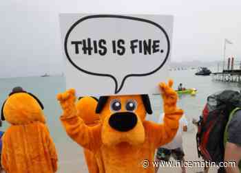 Pourquoi Greenpeace s'est-elle attaquée à plusieurs reprises au festival Cannes Lions cette année? - Nice matin