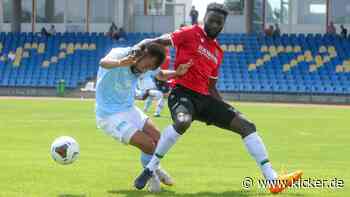 Station Nummer sieben: Kalinowski verstärkt Hildesheim - kicker