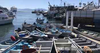 Pescadores de Ensenada continúan esperando sus permisos para atún - El Imparcial