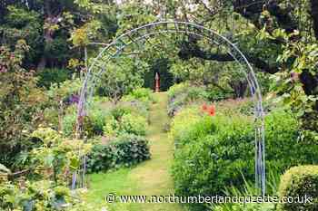 Berwick Open Gardens: New additions to popular initiative - Northumberland Gazette