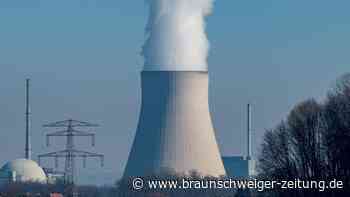 CDU-Wirtschaftsflügel: Bei Atomkraft über Schatten springen