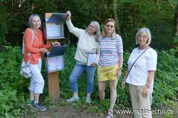 Warum im Wald zwischen Laufach und Sailauf Briefkasten hängen - Main-Echo