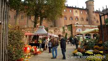 Fiorile e orti in mostra | a Moncalieri | il 19 e 20 marzo Eventi a Torino - TorinoToday