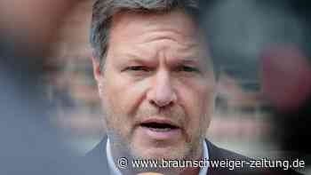Habeck im ZDF-Interview: Harte Absage an Energiespar-Prämie