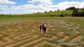 Town of Innisfil's bicentennial celebrated with unique labyrinth - CTV News Barrie
